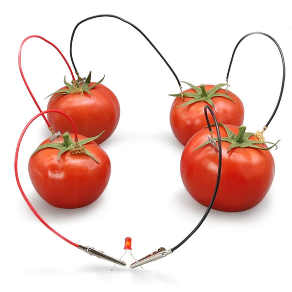 Diy Electronics Projects For Kids - Frucht-Batterie-Wissenschafts-Experimentier-Set Kartoffel DIY Physik-Bildung Kinder STEM
