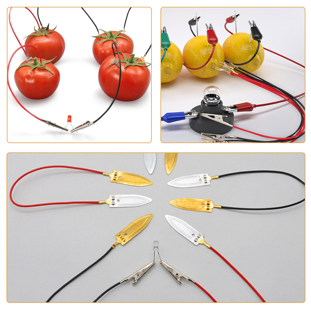 Frucht-Batterie-Wissenschafts- – Diy Electronics Projects For Kids Bewertung und Preis